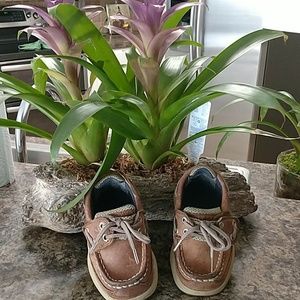 Child's Sperry topsider